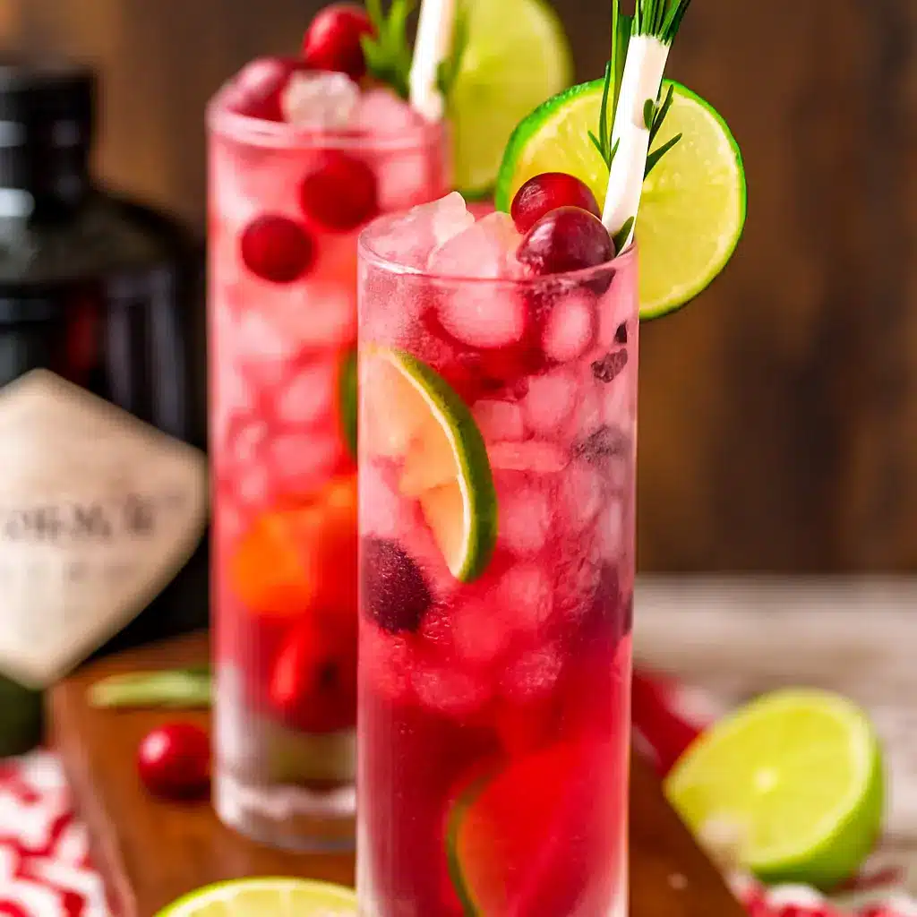 Christmas cranberry gin and tonic with rosemary and lime for family gatherings