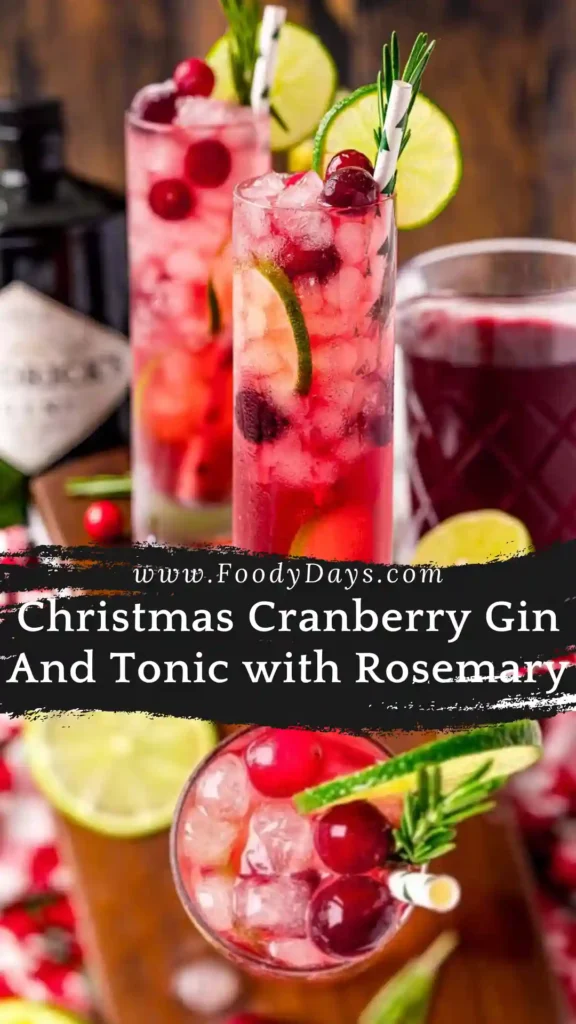 Christmas cranberry gin and tonic with rosemary and lime for family gatherings