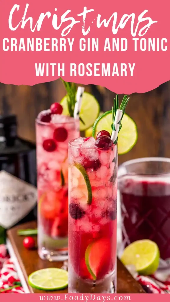 Christmas cranberry gin and tonic with rosemary and lime for family gatherings