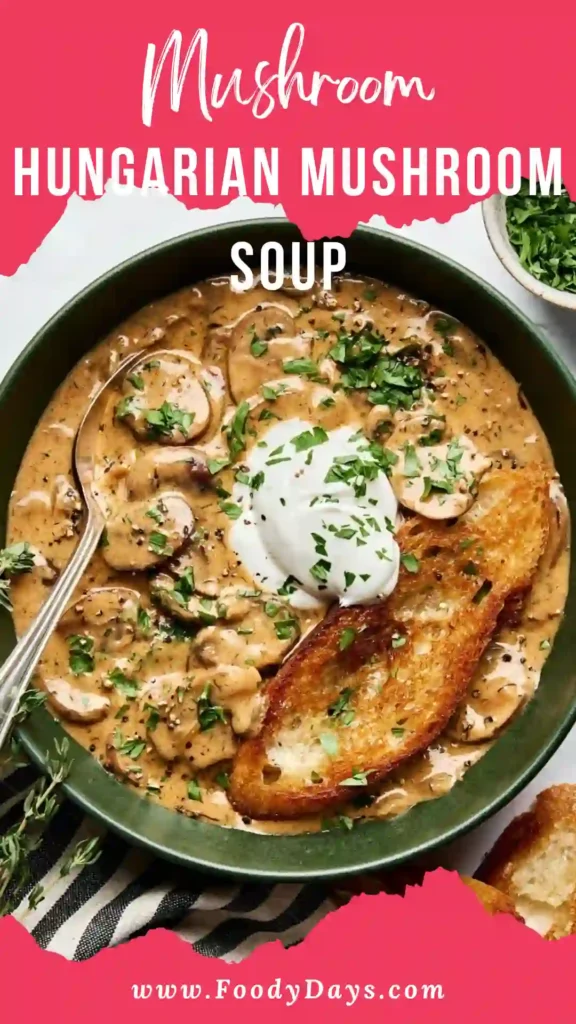Hungarian Mushroom Soup served warm in a family-friendly bowl